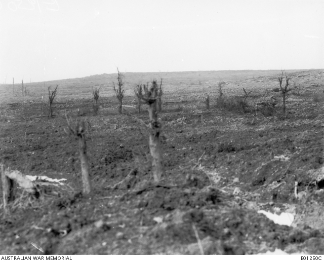 Anzac Ridge looking towards Broodseinde Ridge