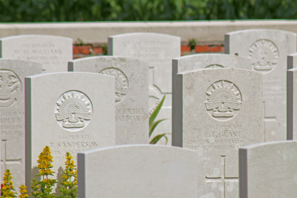 Frank Thomas Grant at Aeroplane Cemetery