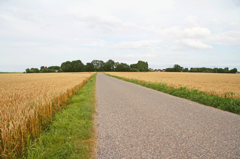 View from Porter and Stout trenches towards Ginchy